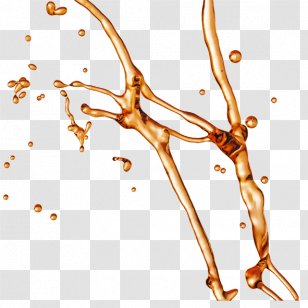 Coca-Cola Soft Drink Juice Drop - Branch - Water Elemental Transparent PNG