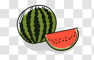 Cartoon - Watermelon Slice And Whole Fruit Drawing Transparent PNG