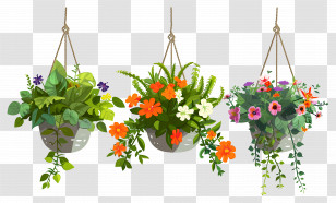 Hanging Flowers - Colorful Hanging Flower Pots Transparent PNG