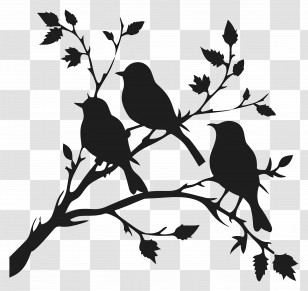 Birds Sitting On A Branch - Silhouette Of Birds On Tree Branch Illustration Transparent PNG