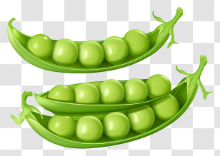 Ripe Pea Pod - Fresh Green Peas In Open Pods Transparent PNG