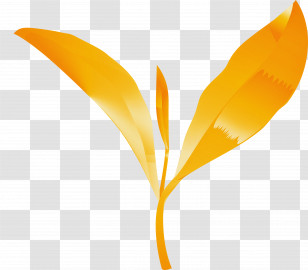 Tea Leaves Leaf Spring Transparent PNG