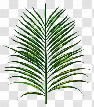 Palm Leaf - Green Palm Leaf Illustration In Tropical Style Transparent PNG