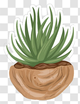 Cartoon - Succulent Plant In Pot Transparent PNG