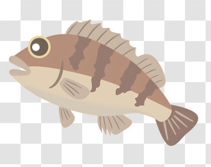 Icon - Striped Fish Illustration Transparent PNG