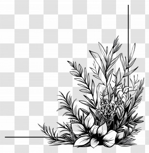 Corner - Black And White Floral Design Transparent PNG