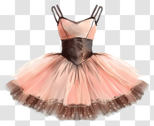 Tutu Ballet Dress - Elegant Pink And Brown Dress Transparent PNG