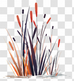 Reeds - Cattails In A Wetland Area Transparent PNG
