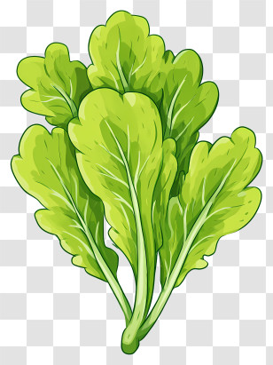 Green Vegetable - Fresh Green Spinach Leaves Transparent PNG