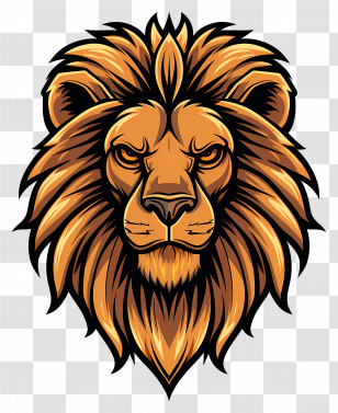 Lion Face - Majestic Lion Head Illustration Transparent PNG