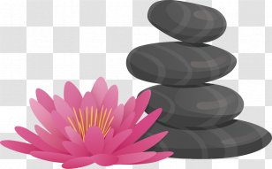Day Spa Blue Color - Vector Hand-painted Stones And Lotus Transparent PNG