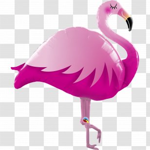 Bird Roblox Crane Pink Flamingo Ratite Nightclub Transparent Png - roblox flamingo party