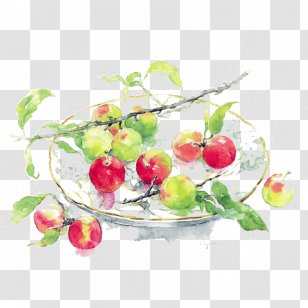 Watercolor Painting Oil Paint - Still Life Photography - Bolliwood Transparent PNG