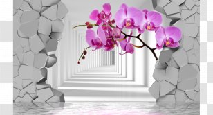 Fototapet Wall Service Wallpaper - Room - Exclusivit&eacute; Transparent PNG