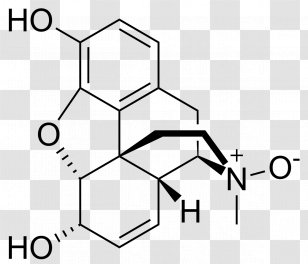 Morphine-N-oxide Amine Oxide Etorphine Opioid - Monochrome - Area Transparent PNG