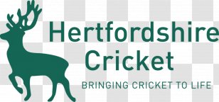 Hertfordshire County Cricket Club Essex Kolkata Knight Riders League - Human Behavior Transparent PNG