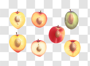 Fruit - Colorful Peach Halves Illustration Transparent PNG