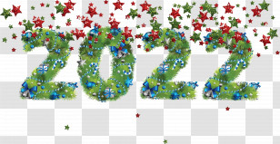 2022 New Year 2022 Happy 2022 New Year Transparent PNG