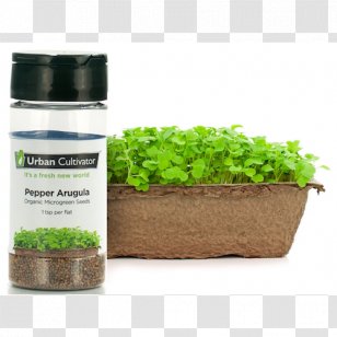 Urban Cultivator Crop Seed - Shop - Arugula Transparent PNG
