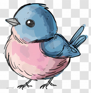 Doodle Bird - Cute Blue And Pink Bird Illustration Transparent PNG