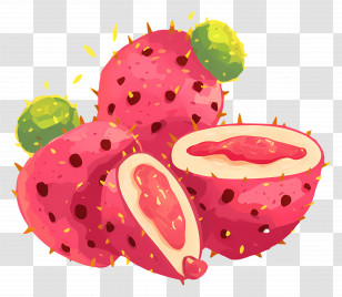 Prickly Pears - Prickly Pear Fruit Illustration Transparent PNG