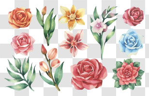 Flower - Watercolor Flowers And Plants Collection Transparent PNG