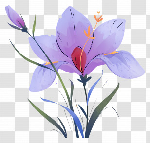 Saffron Flower - Elegant Purple Flower Watercolor Illustration Transparent PNG