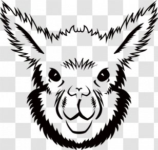 Line Art Design Canvas Print - Whiskers - Smile Transparent PNG