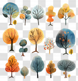 Tree - Beautiful Autumn Trees Illustration Transparent PNG