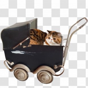 Cat Tree Whiskers Dog Furniture - Car - Environment-friendly Transparent PNG