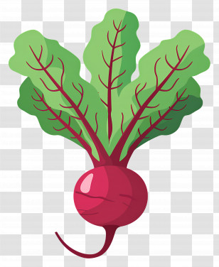 Beetroot - Beetroot With Fresh Vibrant Leaves Transparent PNG