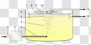 Settling White Wine Froth Flotation Decantation Cuve Transparent PNG