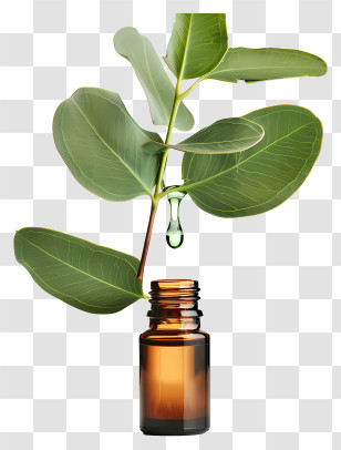 Essential Oil - Essential Oil With Green Leaves Transparent PNG