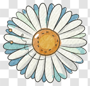 Cartoon - White Daisy With Yellow Center Transparent PNG