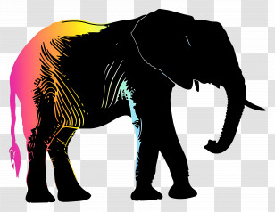 Elephant Silhouette - Colorful Elephant Silhouette Art Transparent PNG