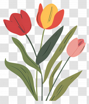 Illustrated Tulips - Colorful Illustrated Tulips Transparent PNG