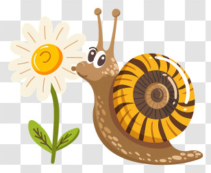 Cartoon Snail - Cartoon Snail Admiring A Daisy Flower Transparent PNG