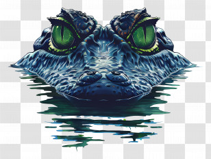 Alligator - Alligator In Water Transparent PNG