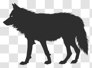Wolf Silhouette - Wolf Silhouette Walking In Nature Transparent PNG
