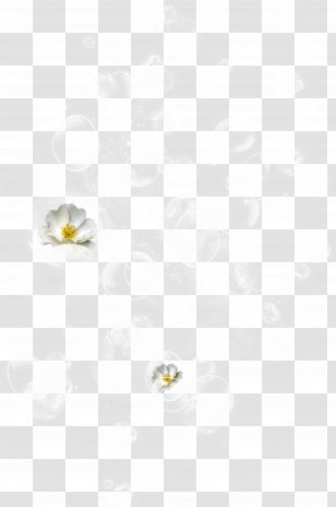 Image Earring White Yellow - Bubbles Transparent PNG