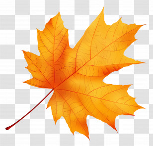 Autumn Maple Leaf - Bright Orange Autumn Maple Leaf Transparent PNG