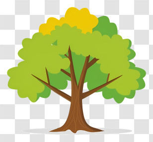 Tree - Green Leafy Tree Illustration In Nature Transparent PNG