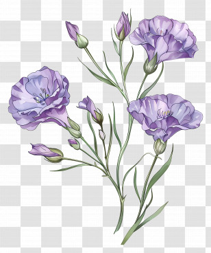 Lilac Flowers - Elegant Purple Floral Sketch Art Transparent PNG