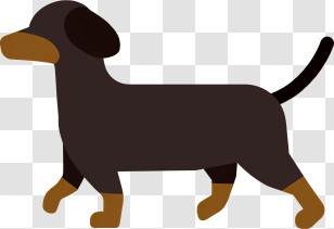 Icon - Dachshund Dog Transparent PNG