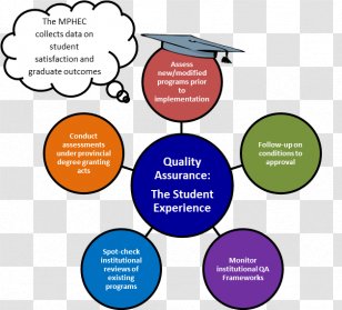 Quality Assurance Education Brand - Human Behavior Transparent PNG