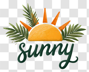 Sunny Logo - Sunny Tropical Sun Logo Transparent PNG