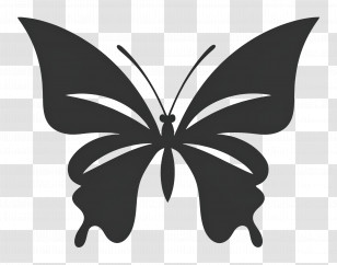 Butterfly Logo - Black Butterfly Silhouette Design Transparent PNG