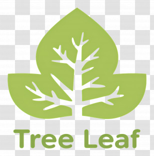 Tree Leaf - Tree Leaf Logo Transparent PNG