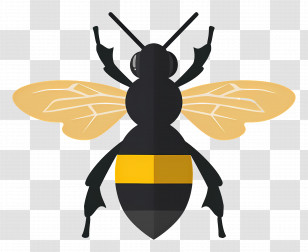 Simple - Cartoon Bee Illustration Transparent PNG