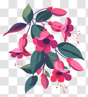 Fuchsia Flowers Branch - Fuchsia Floral Illustration With Pink And Green Elements Transparent PNG